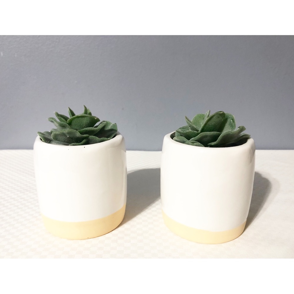 2 Ceramic Tabletop Succulents, NEW